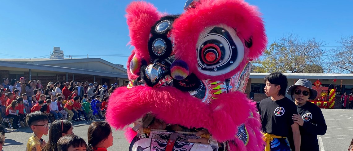 Lion Dancers are a highlight of the Tet festival!