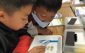 Science is Fun!! - article thumnail image