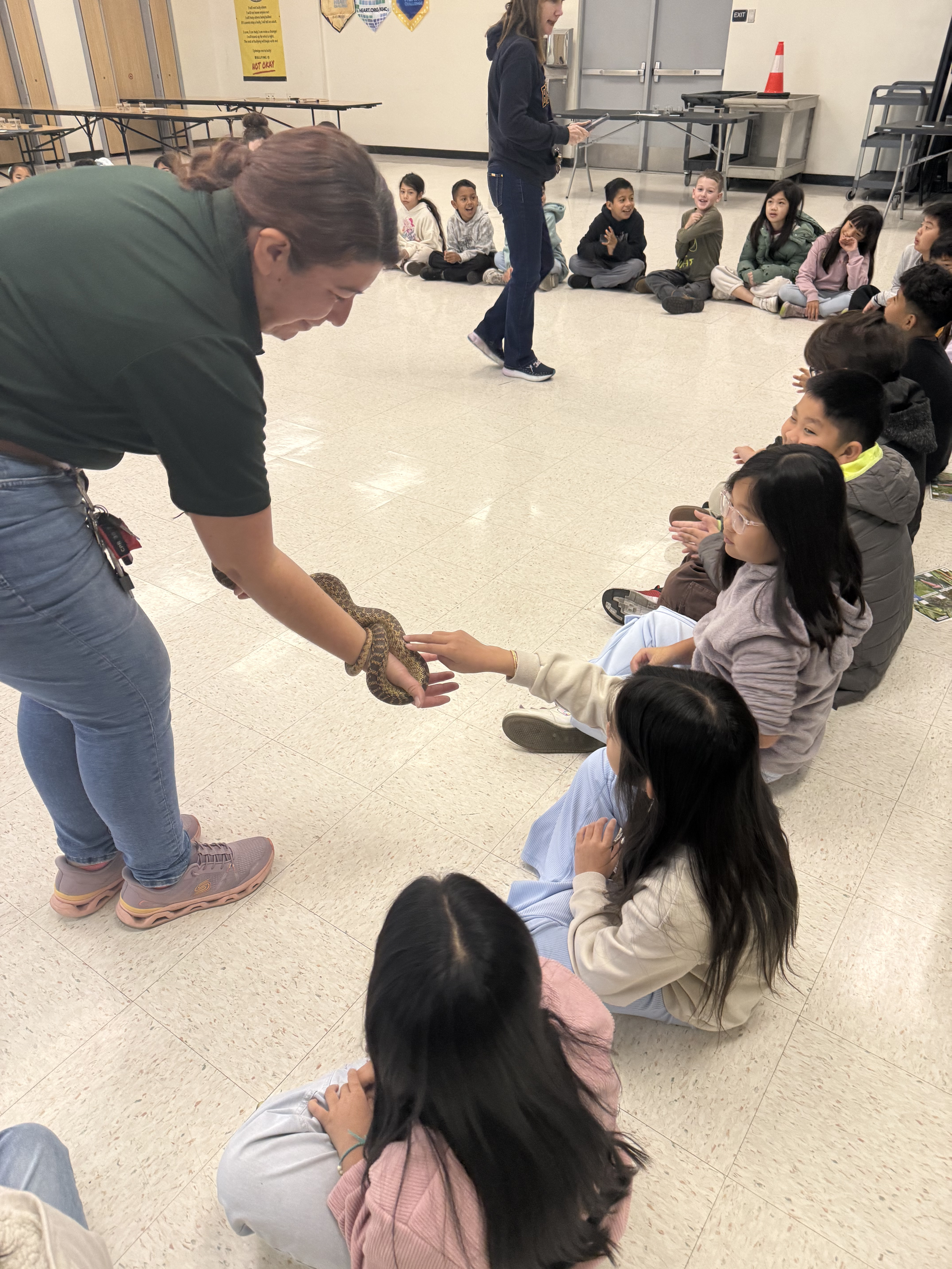 Amazing Animals Assembly