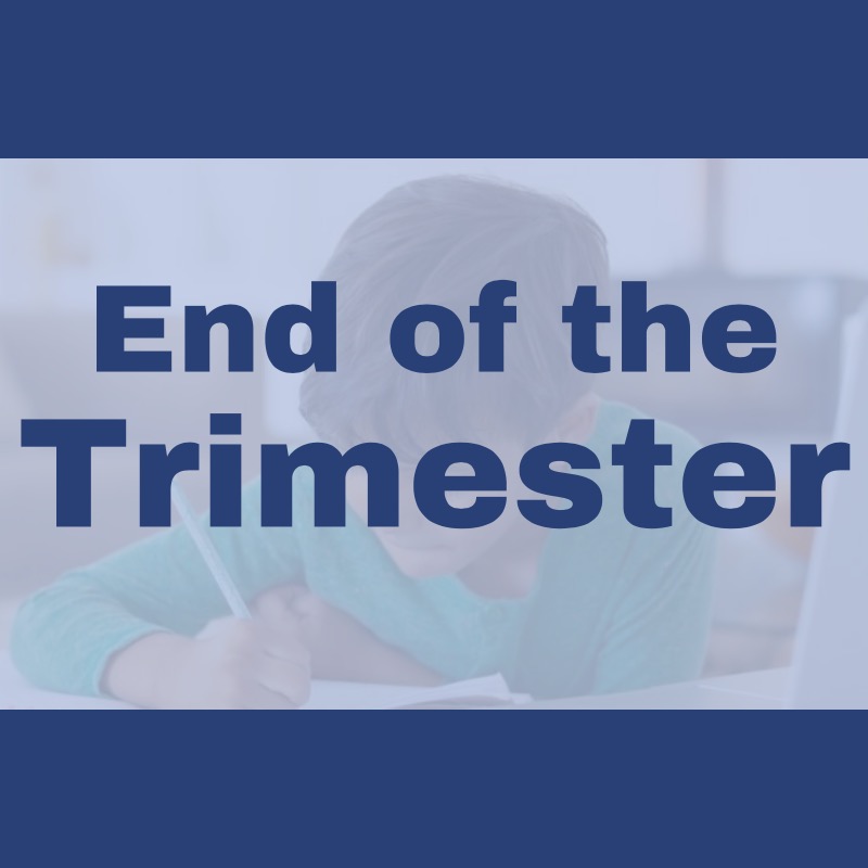 Last day of trimester - article thumnail image